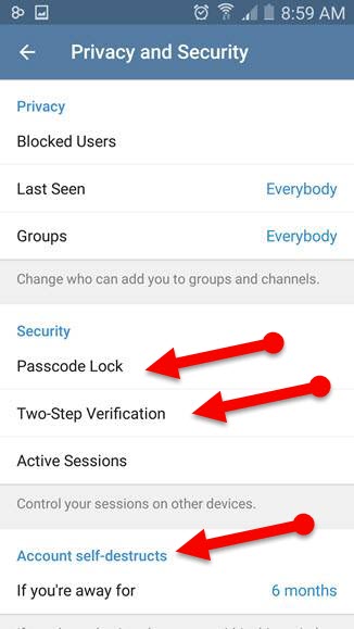Telegram_privacy_and_security_settings