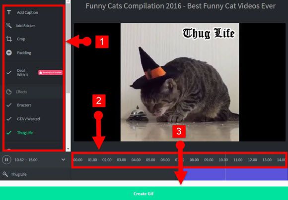 GIF maker from youtube video