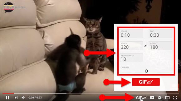 make your own gifs from YouTube videos