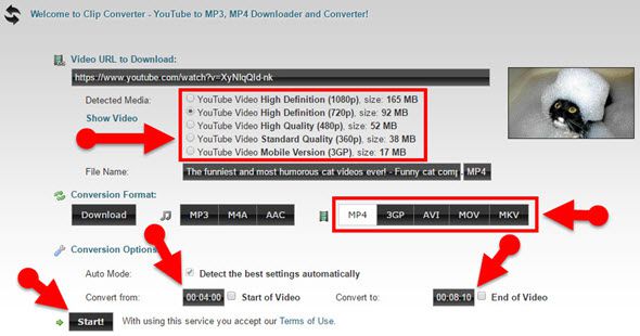 download a specific part of a YouTube video