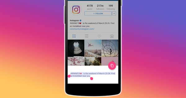 How to Copy Text From an Instagram Post (Caption,) Comment, Bio, or Story On Android & iPhone