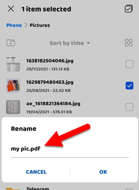 Rename image file with PDF extension