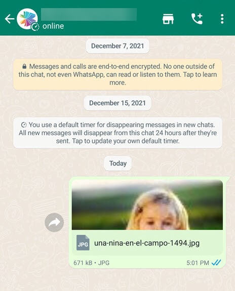 Send the image as a document in WhatsApp with a preview
