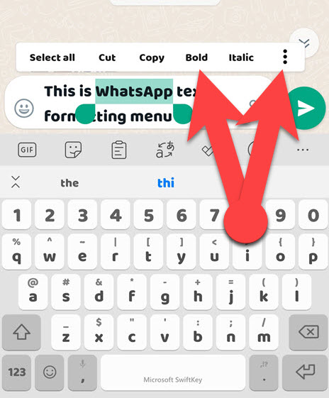 WhatsApp Text Formatting Menu