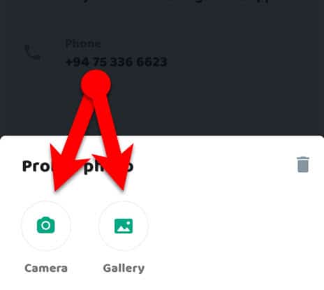 Change Your WhatsApp Profile Picture