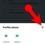 Delete WhatsApp Profile Picture