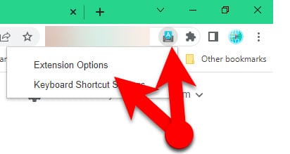 Google Input Tools extension options