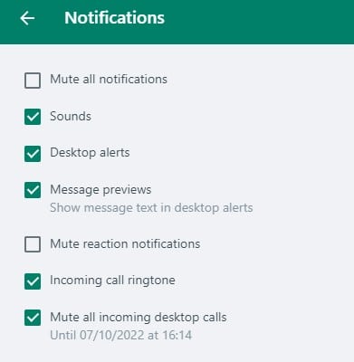 Block WhatsApp Calls on a desktop PC