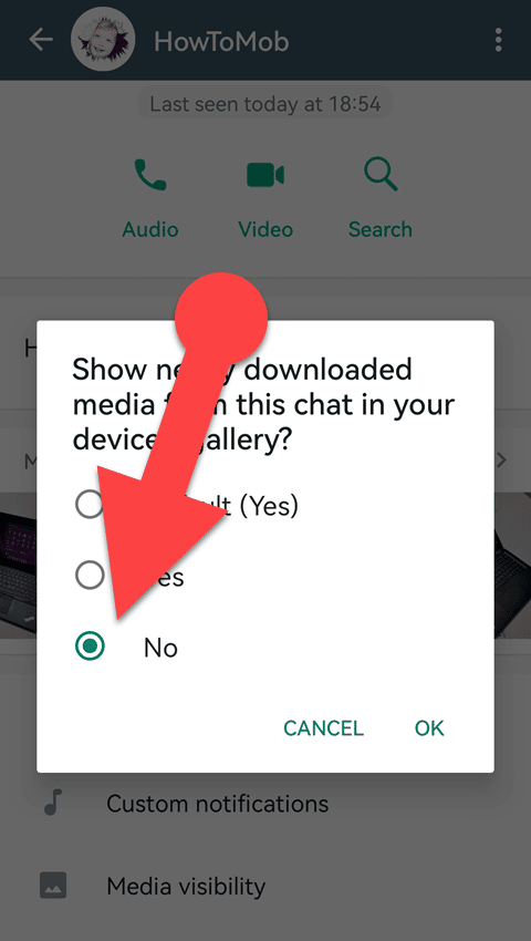 preventing WhatsApp media from appearing in your phone's gallery