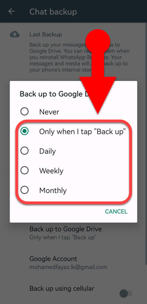 WhatsApp chat backup frequency to google drive