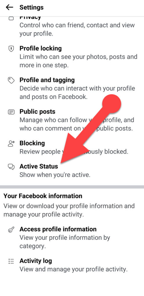 Active Status on Facebook Lite app